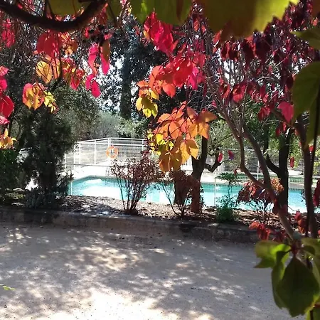 キャンプ場 Camping Alquezar アルケサル