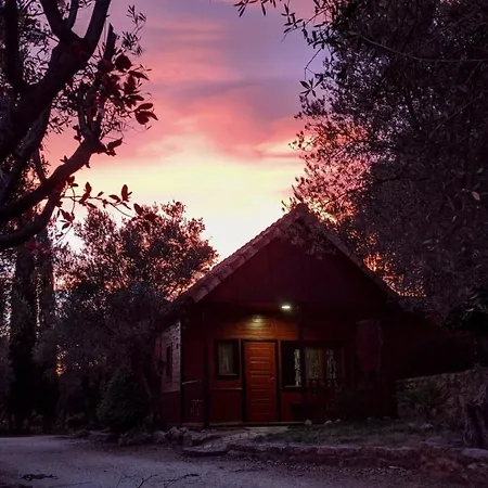 キャンプ場 Camping Alquezar