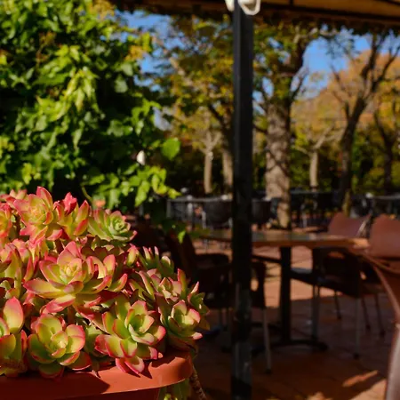 キャンプ場 Camping Alquezar