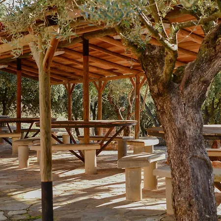 Camping Alquezar キャンプ場 アルケサル