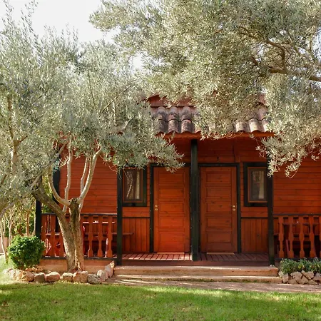 Camping Alquezar