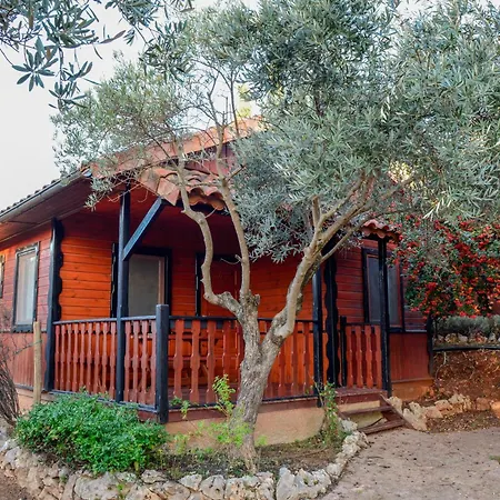 キャンプ場 Camping Alquezar *