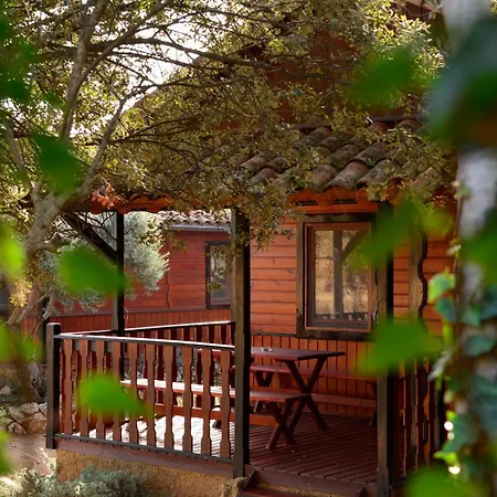 Camping Alquezar キャンプ場 アルケサル