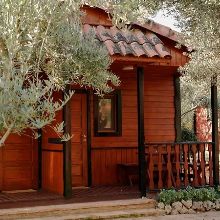 キャンプ場 Camping Alquezar アルケサル