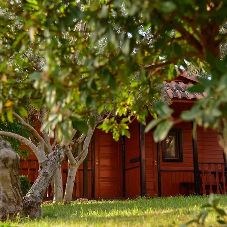 キャンプ場 Camping Alquezar *