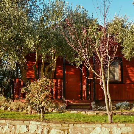 Camping Alquezar キャンプ場