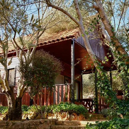 Camping Alquezar Κάμπινγκ Alquézar