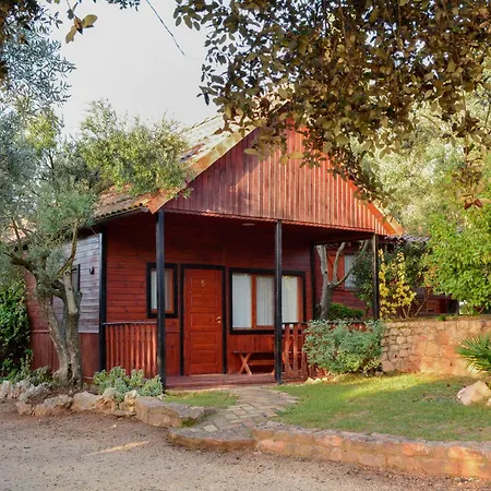 キャンプ場 Camping Alquezar *