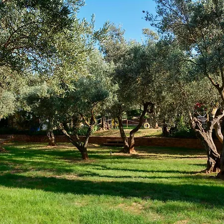 Camping Alquezar アルケサル