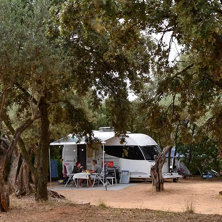 Camping Alquezar キャンプ場 *