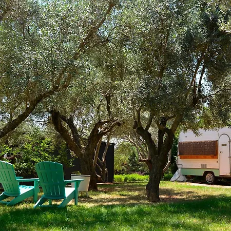 キャンプ場 Camping Alquezar アルケサル
