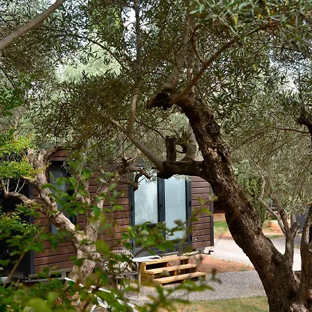 Camping Alquezar アルケサル