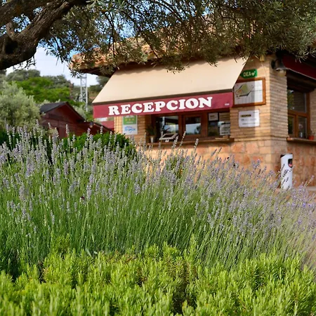 キャンプ場 Camping Alquezar