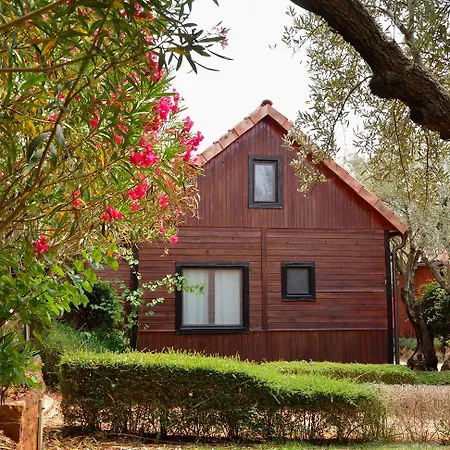 Camping Alquezar
