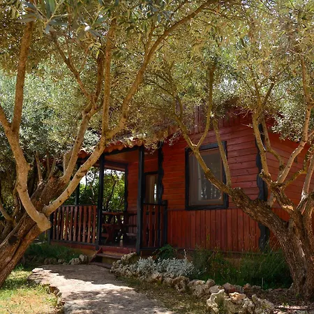 Camping Alquezar アルケサル