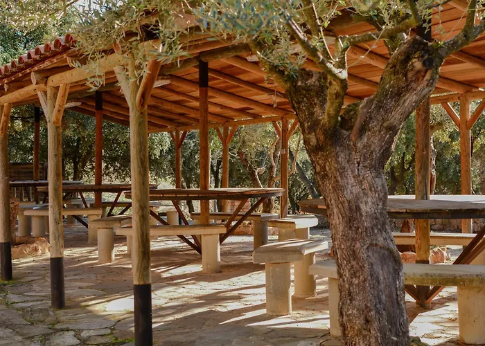 Camping Alquezar 캠프장 알퀘자르