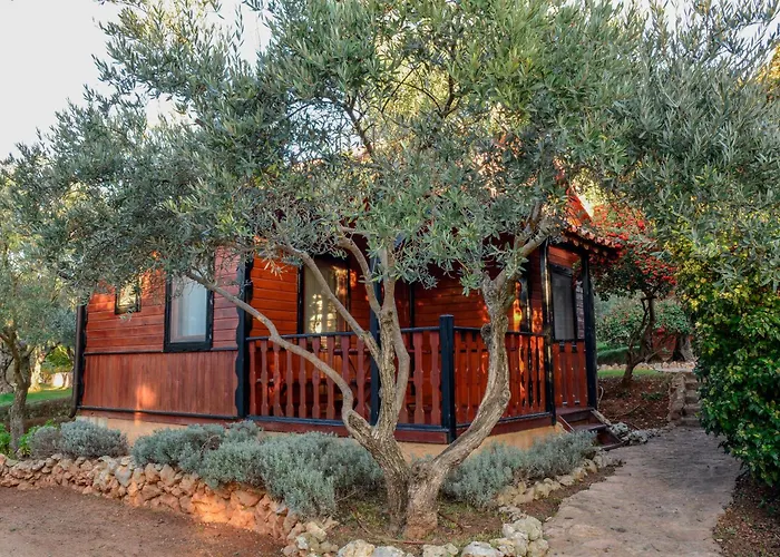 Camping Alquezar Camping *