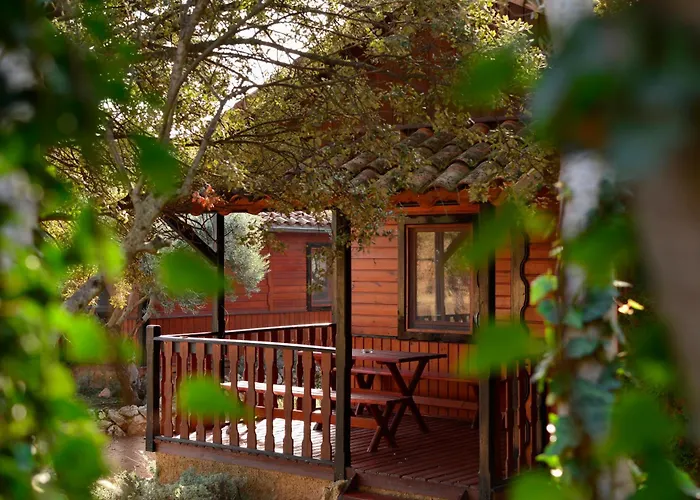 Camping Alquezar Camping Alquézar