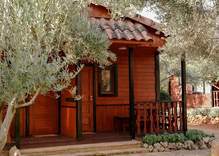 캠프장 Camping Alquezar 알퀘자르