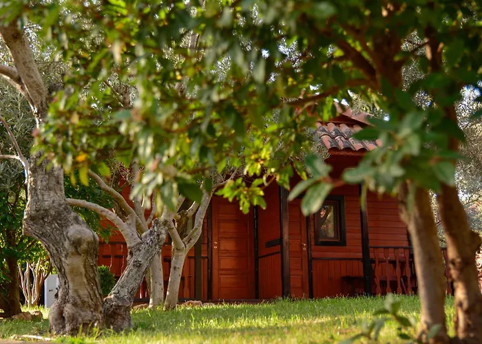 캠프장 Camping Alquezar *