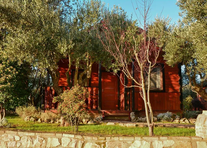 Camping Alquezar 캠프장