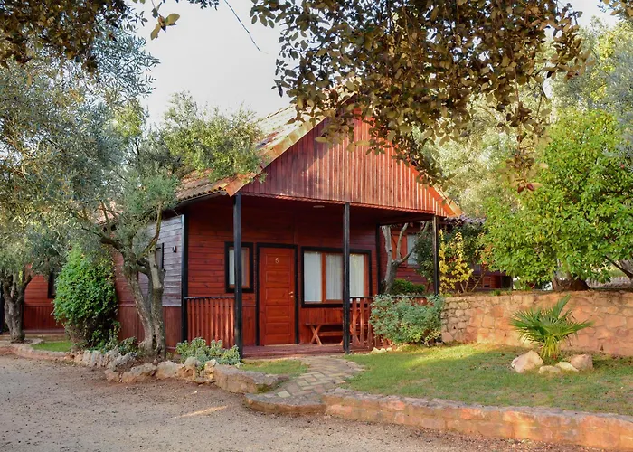 캠프장 Camping Alquezar *