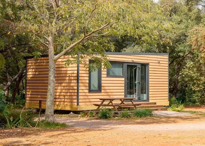 Camping Alquezar * Alquézar