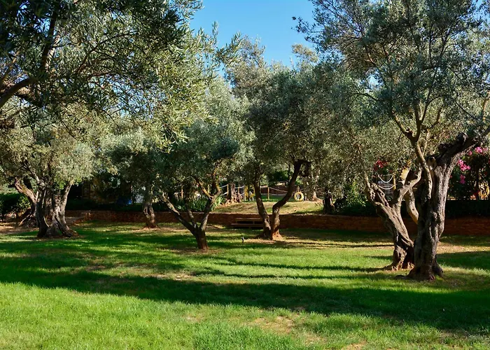 Camping Alquezar 알퀘자르